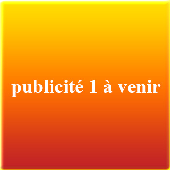 Publicité 1